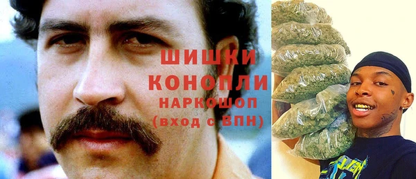 дмт Рославль