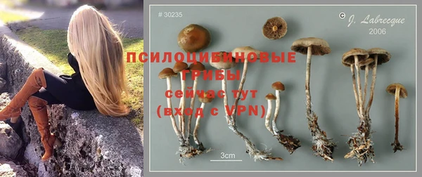 дмт Рославль