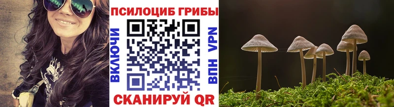 как найти закладки  Серафимович  Галлюциногенные грибы прущие грибы 